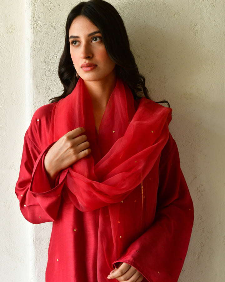 Red Rang Rang red straight kurta set of 3 7693044088934 β RESHA INDIA